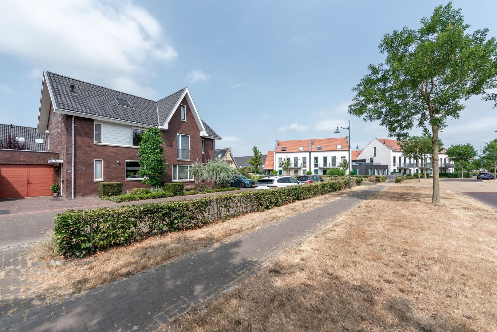Argusvlinder 6, Nijkerk foto-46
