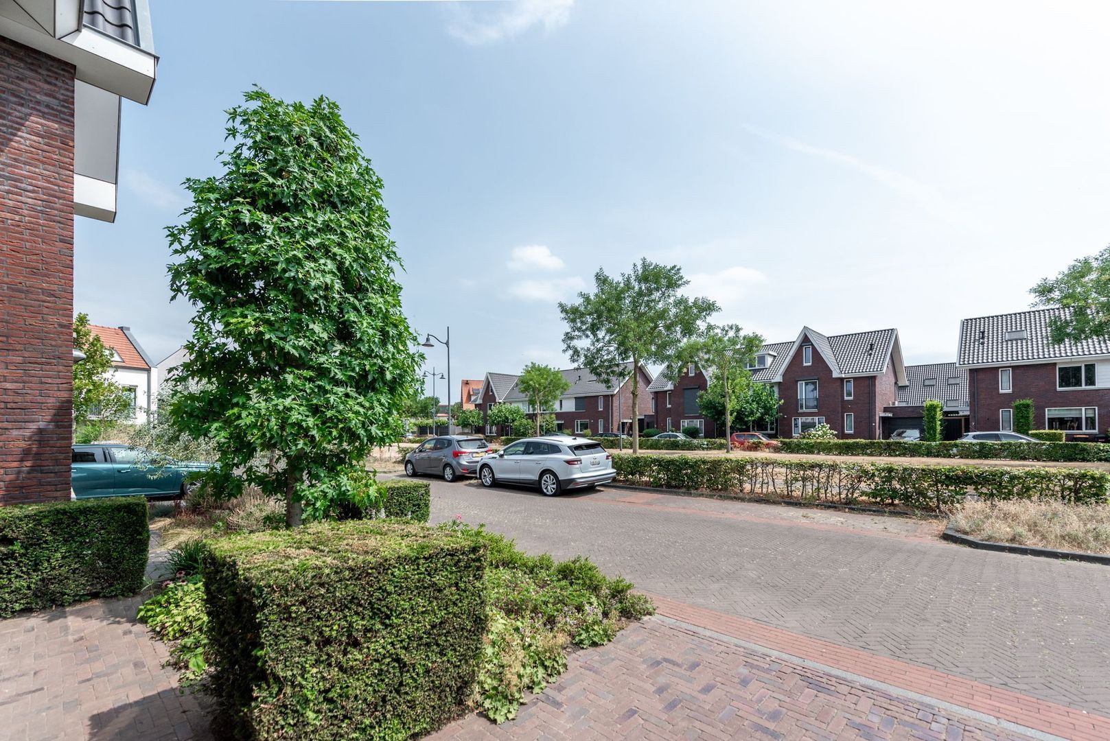 Argusvlinder 6, Nijkerk foto-39