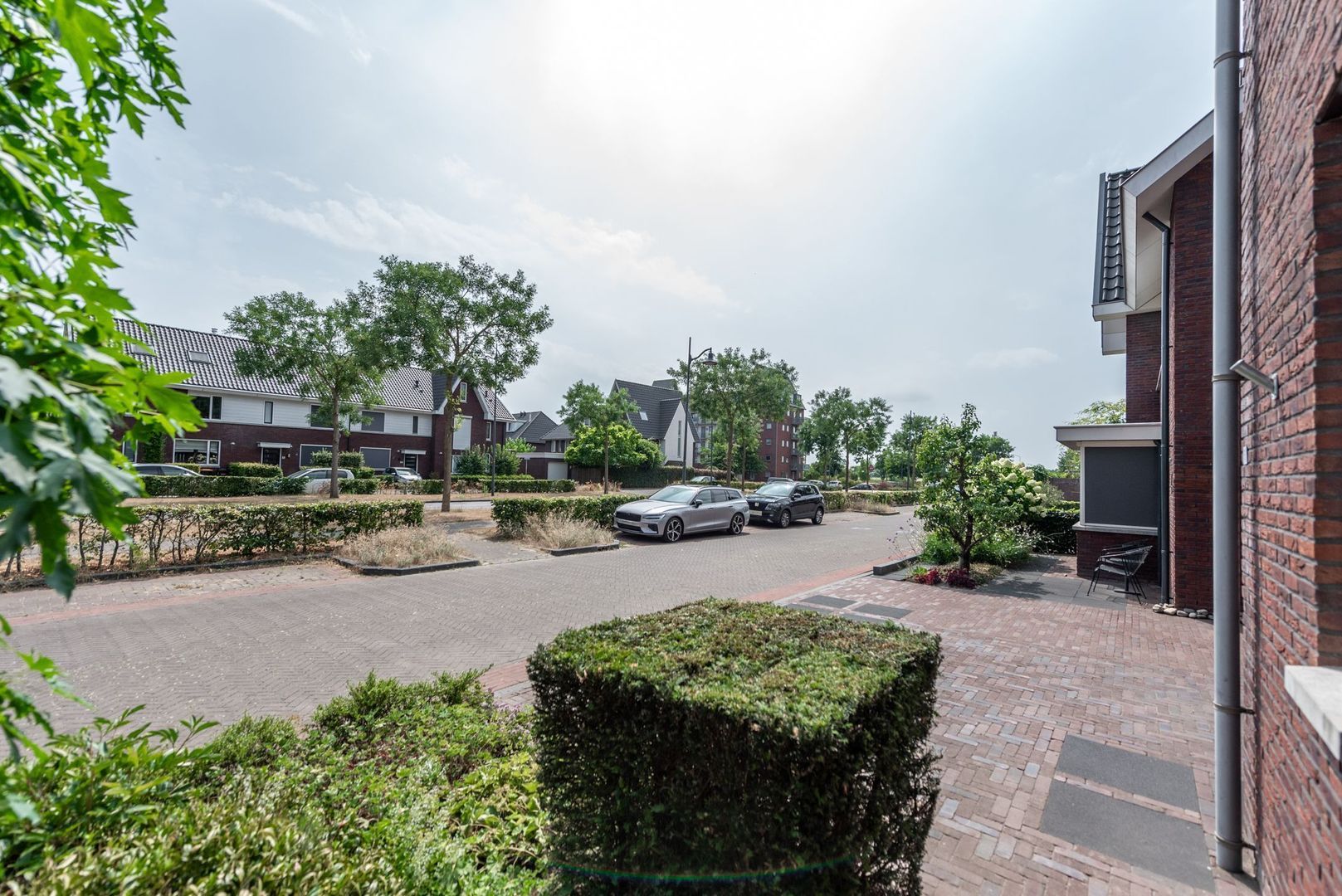 Argusvlinder 6, Nijkerk foto-40