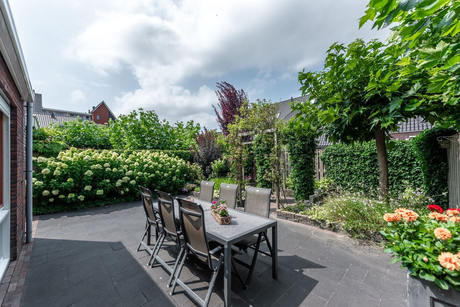 Argusvlinder 6, Nijkerk foto-30