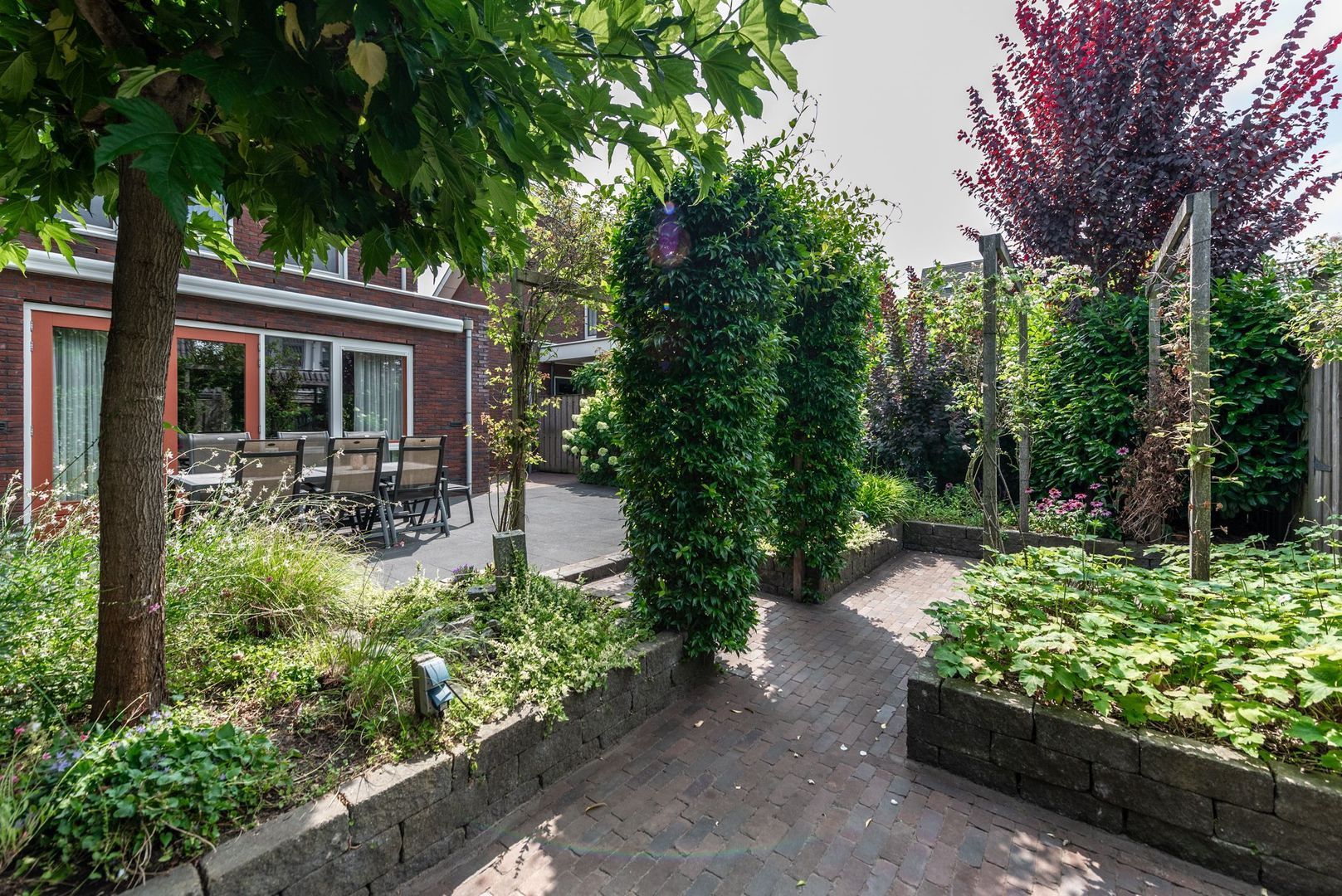 Argusvlinder 6, Nijkerk foto-33