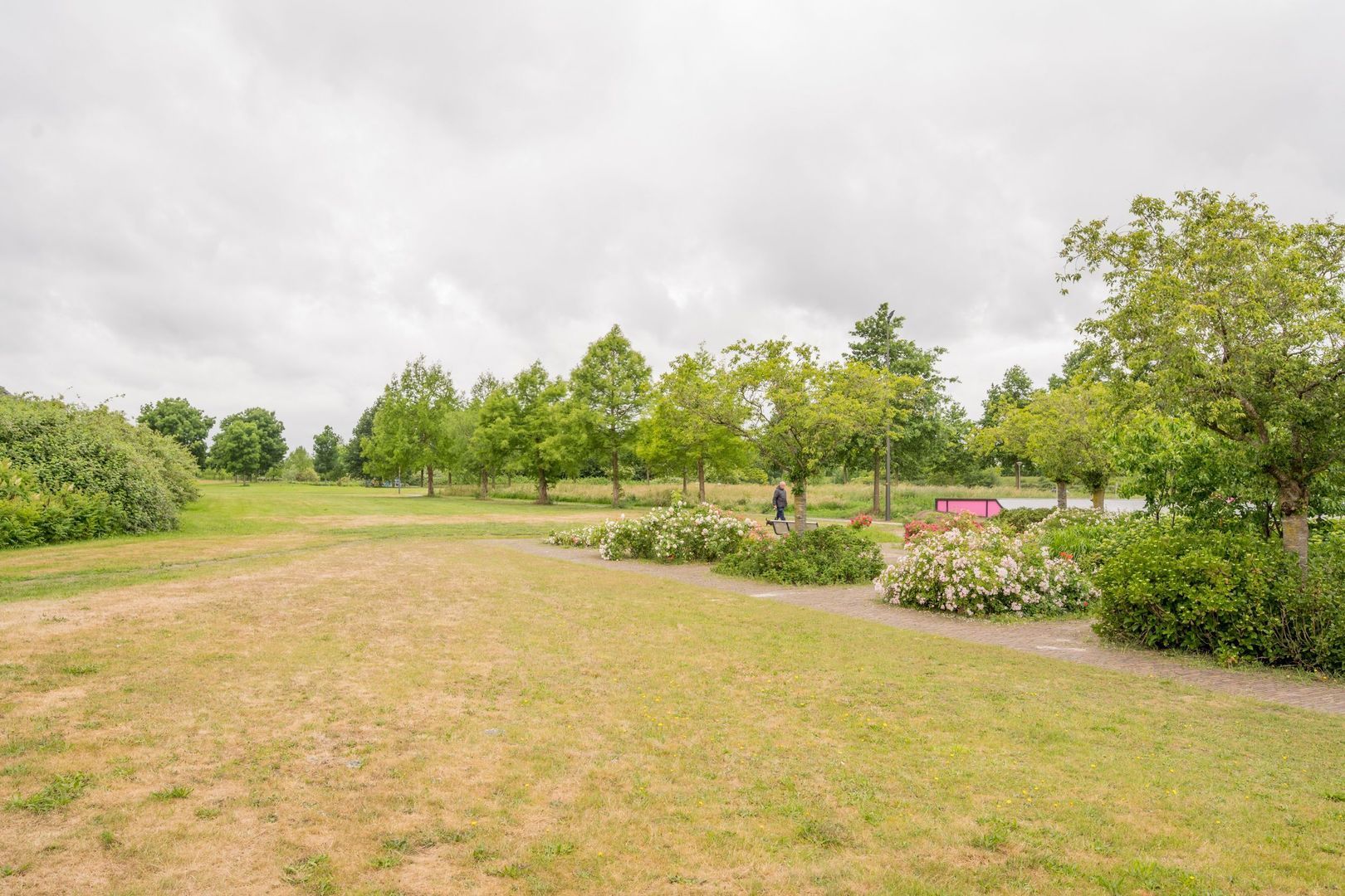 Gentiaan 2, Nijkerk foto-45