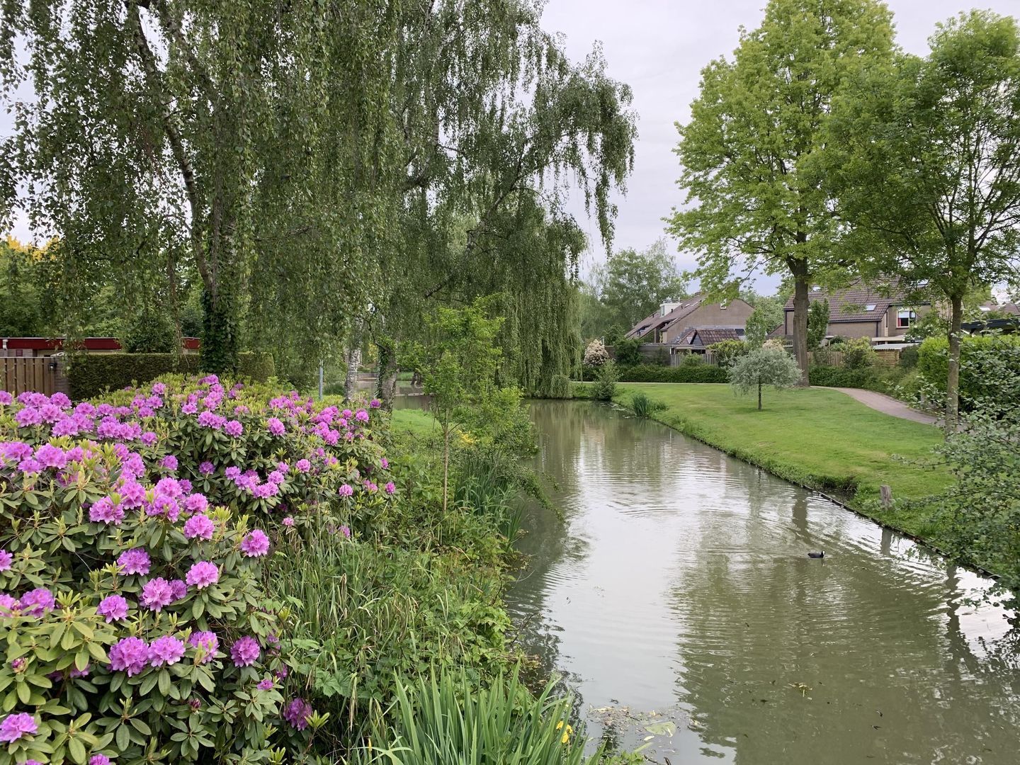 Van Goghlaan 1, Nijkerk foto-47