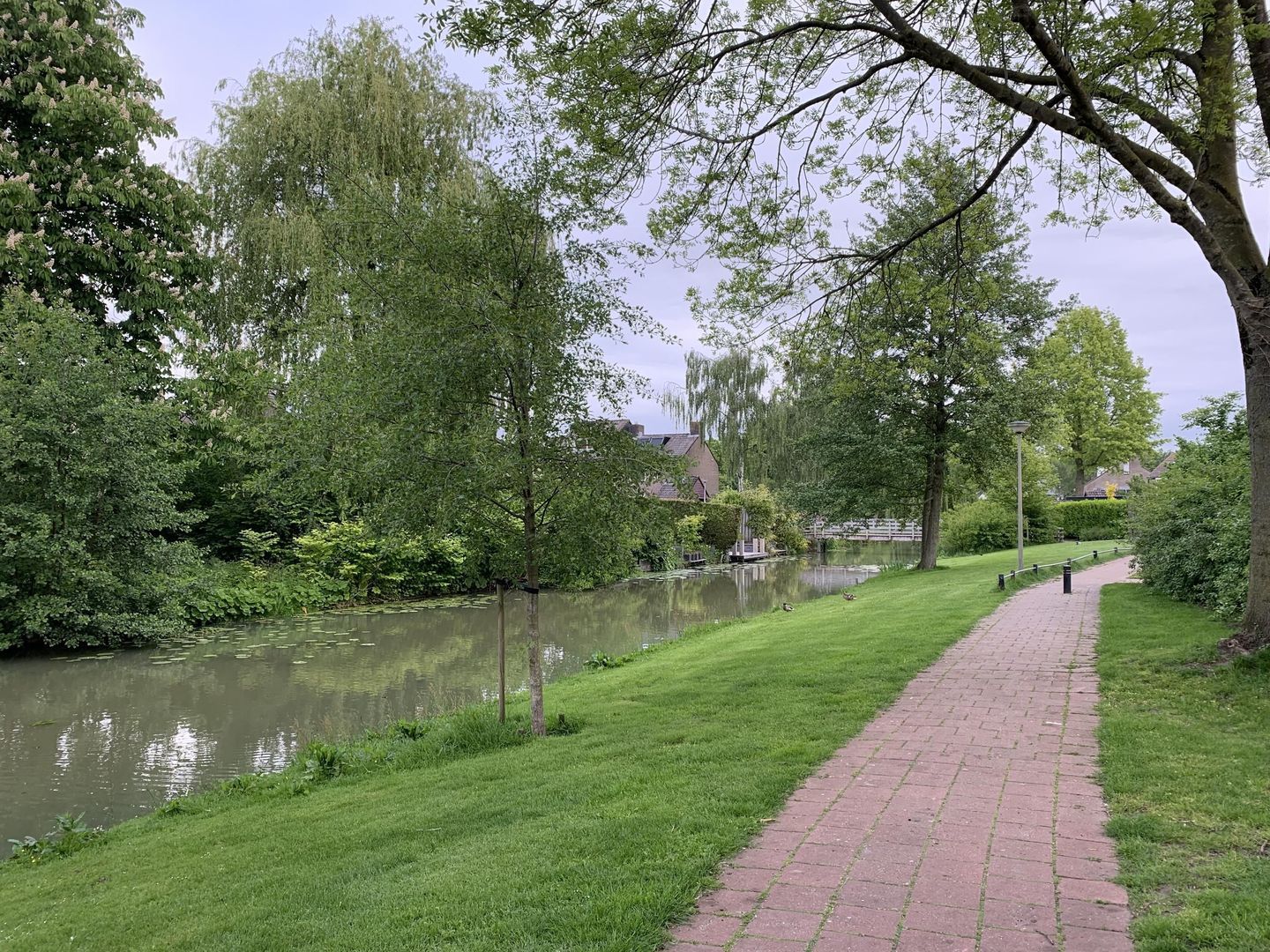 Van Goghlaan 1, Nijkerk foto-46