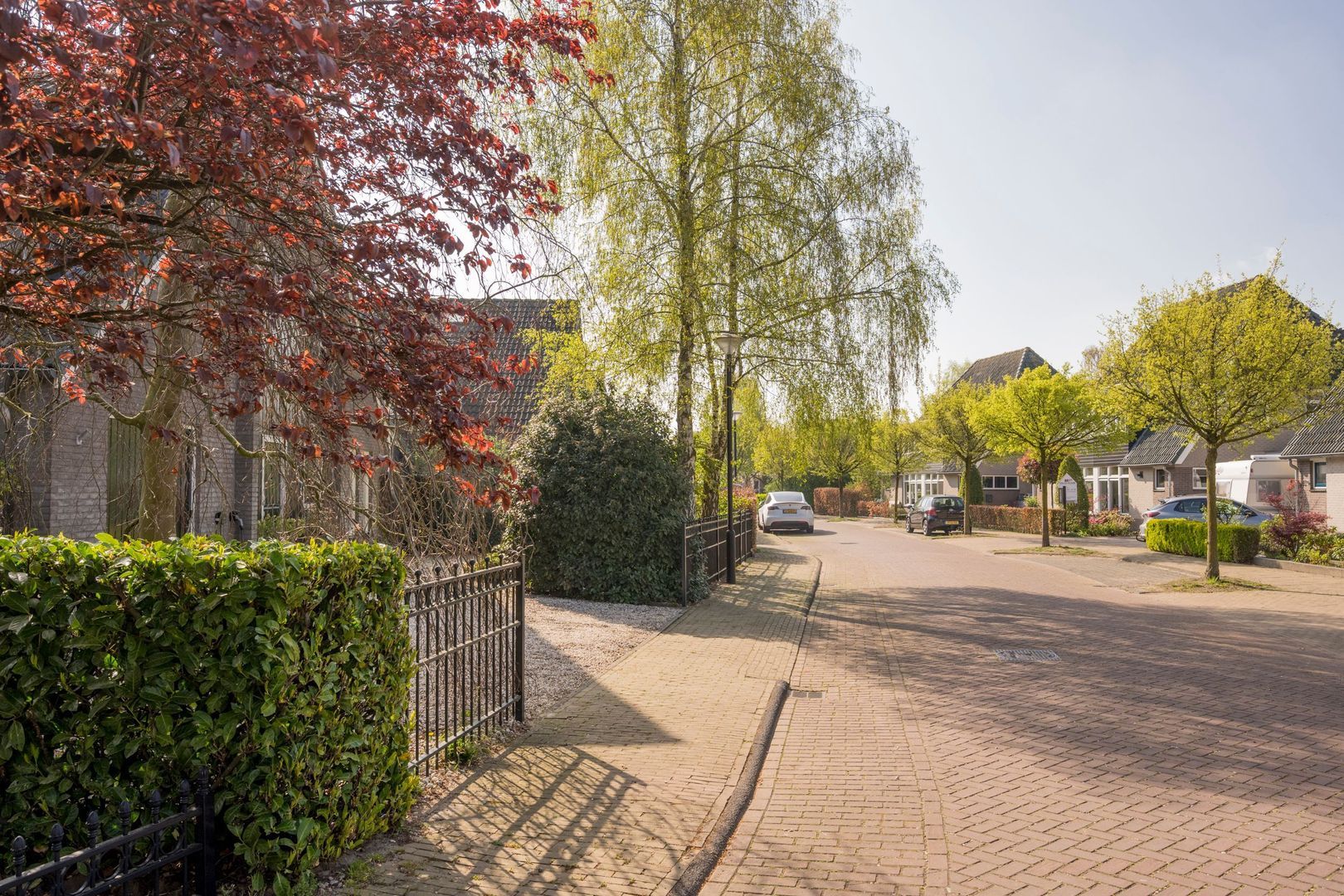 Boterbloem 25, Nijkerk foto-51