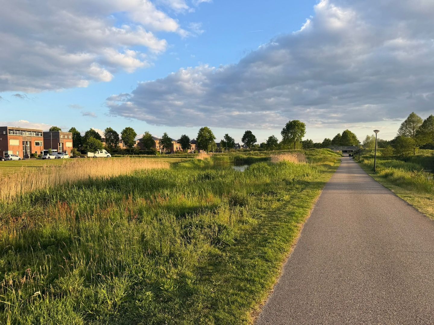 Boterbloem 25, Nijkerk foto-57