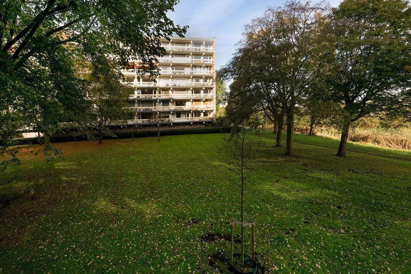 Isabellaland 1110, Den Haag foto-26