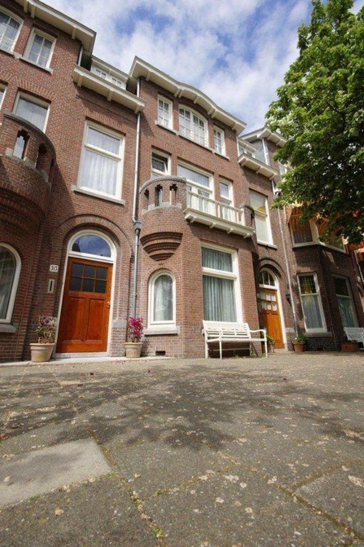 Frankenslag 313, Den Haag foto-2
