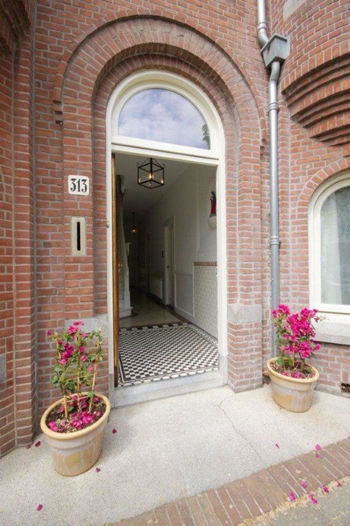 Frankenslag 313, Den Haag foto-3