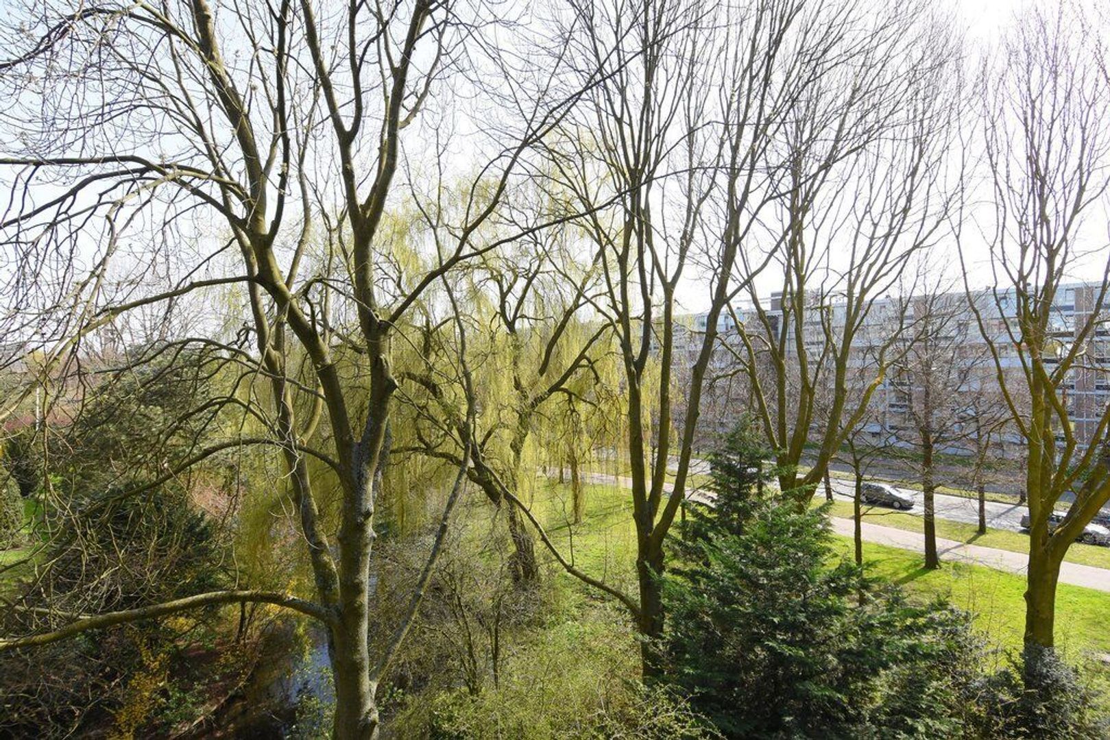 Steenvoordelaan 149, Rijswijk foto-4