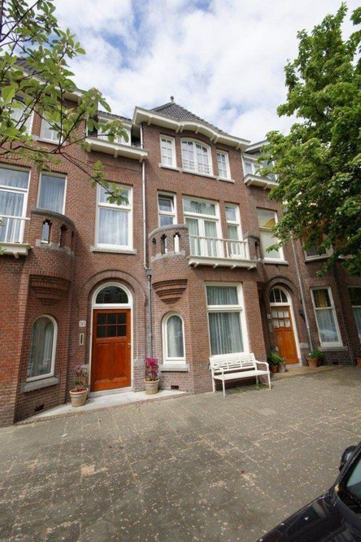 Frankenslag 313, Den Haag foto-62
