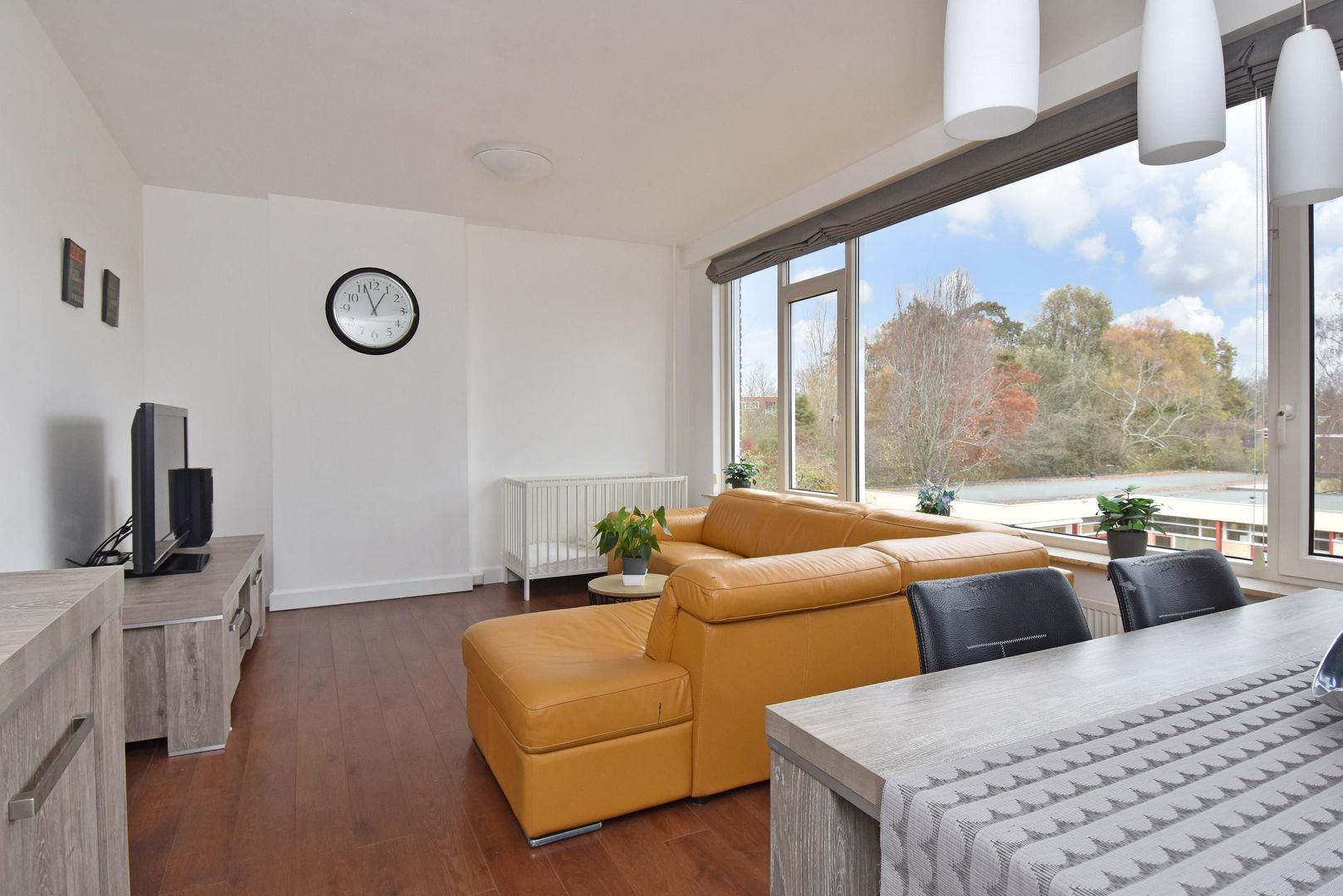 Cornelie van Zantenstraat 220, Den Haag foto-8