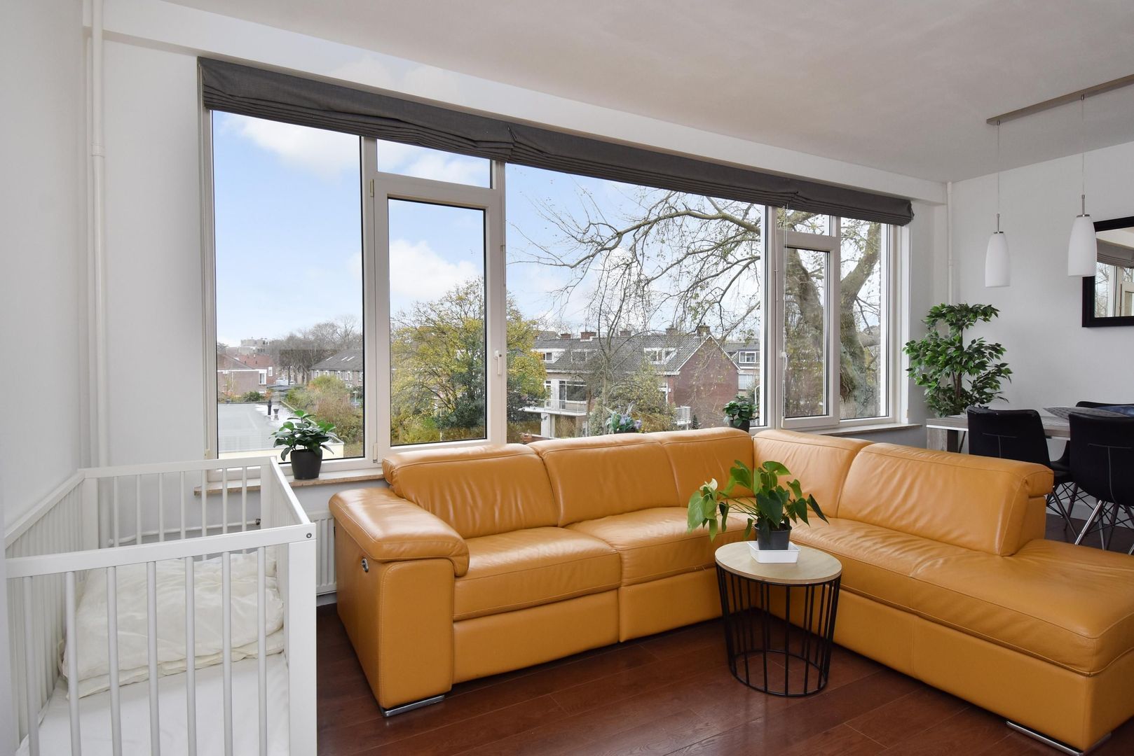 Cornelie van Zantenstraat 220, Den Haag foto-10