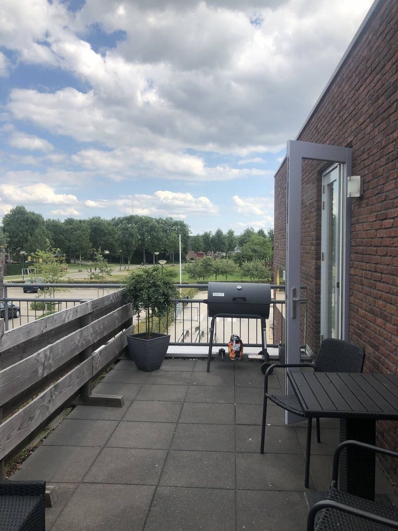 Zonnehout, Houten foto-10