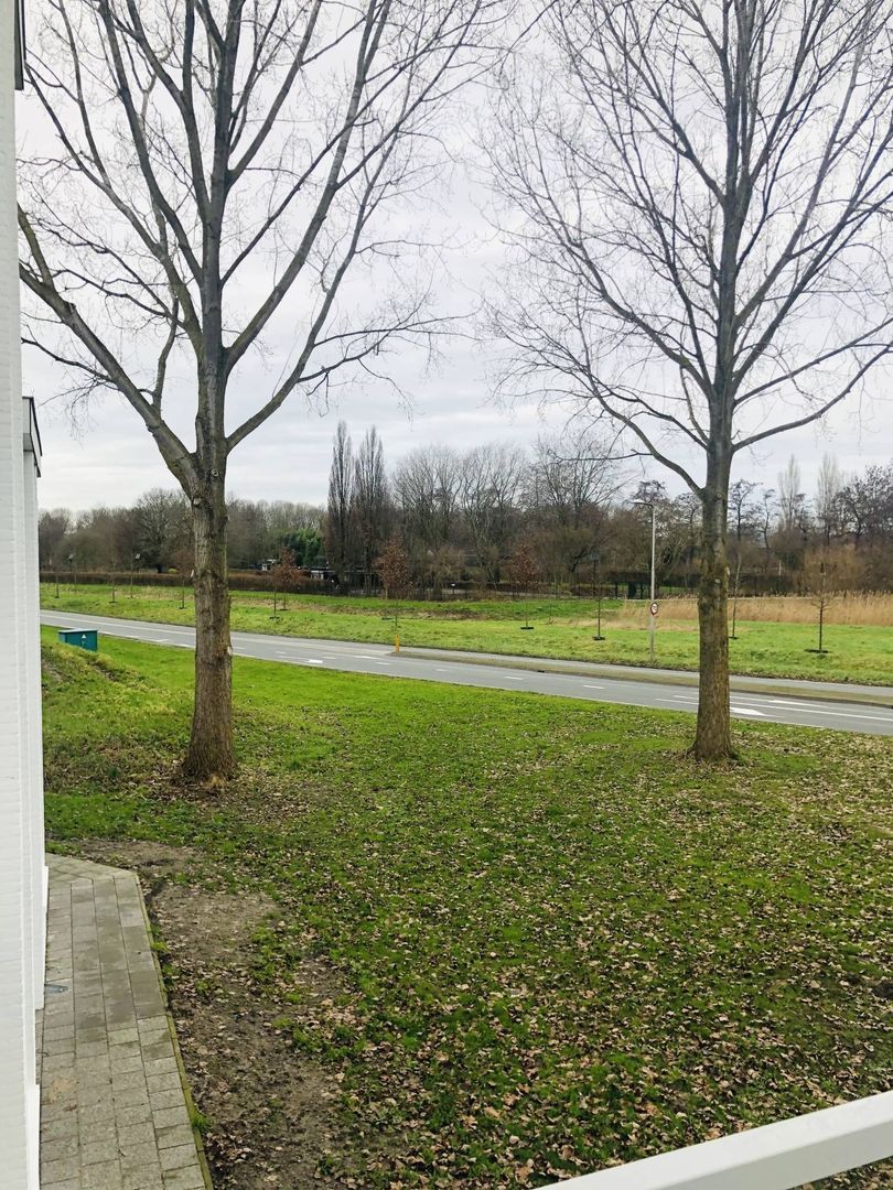 Paardenhoeve, Houten foto-13