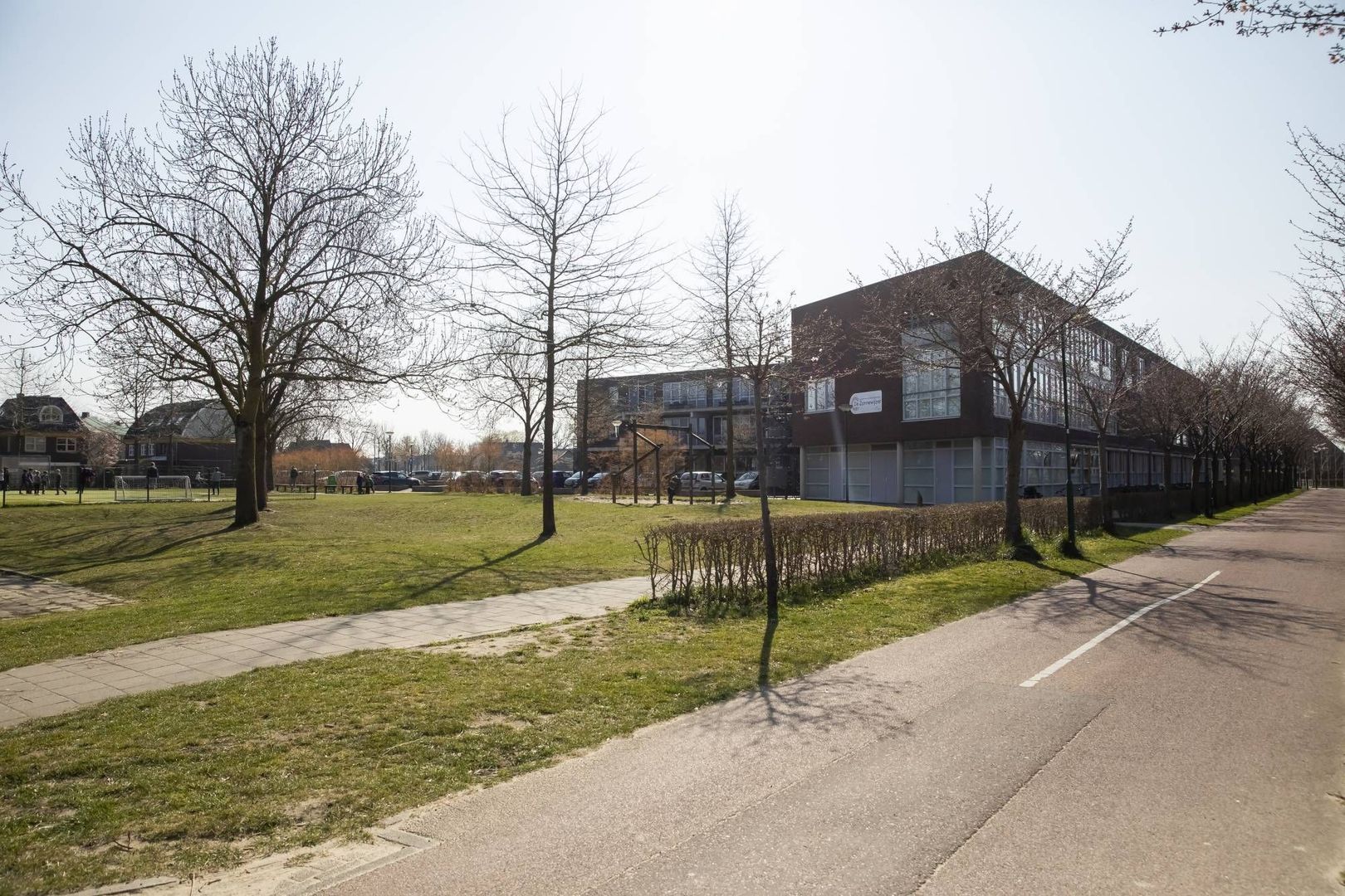 Zonnehout, Houten foto-38