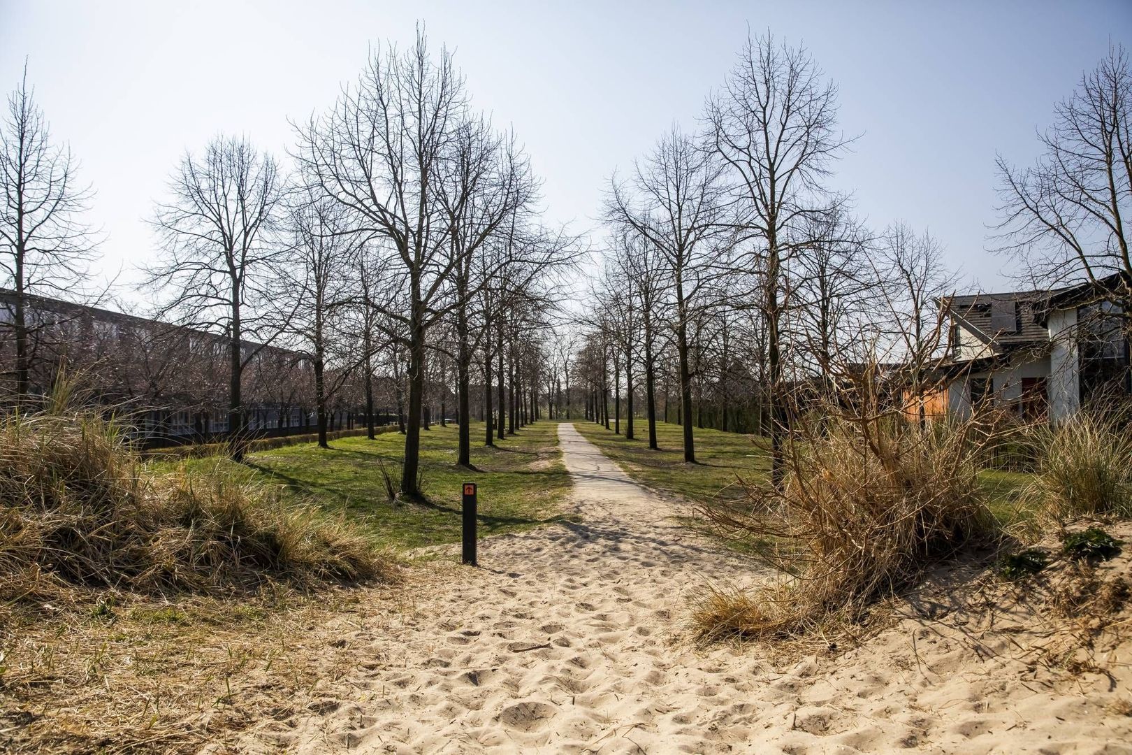 Zonnehout, Houten foto-39