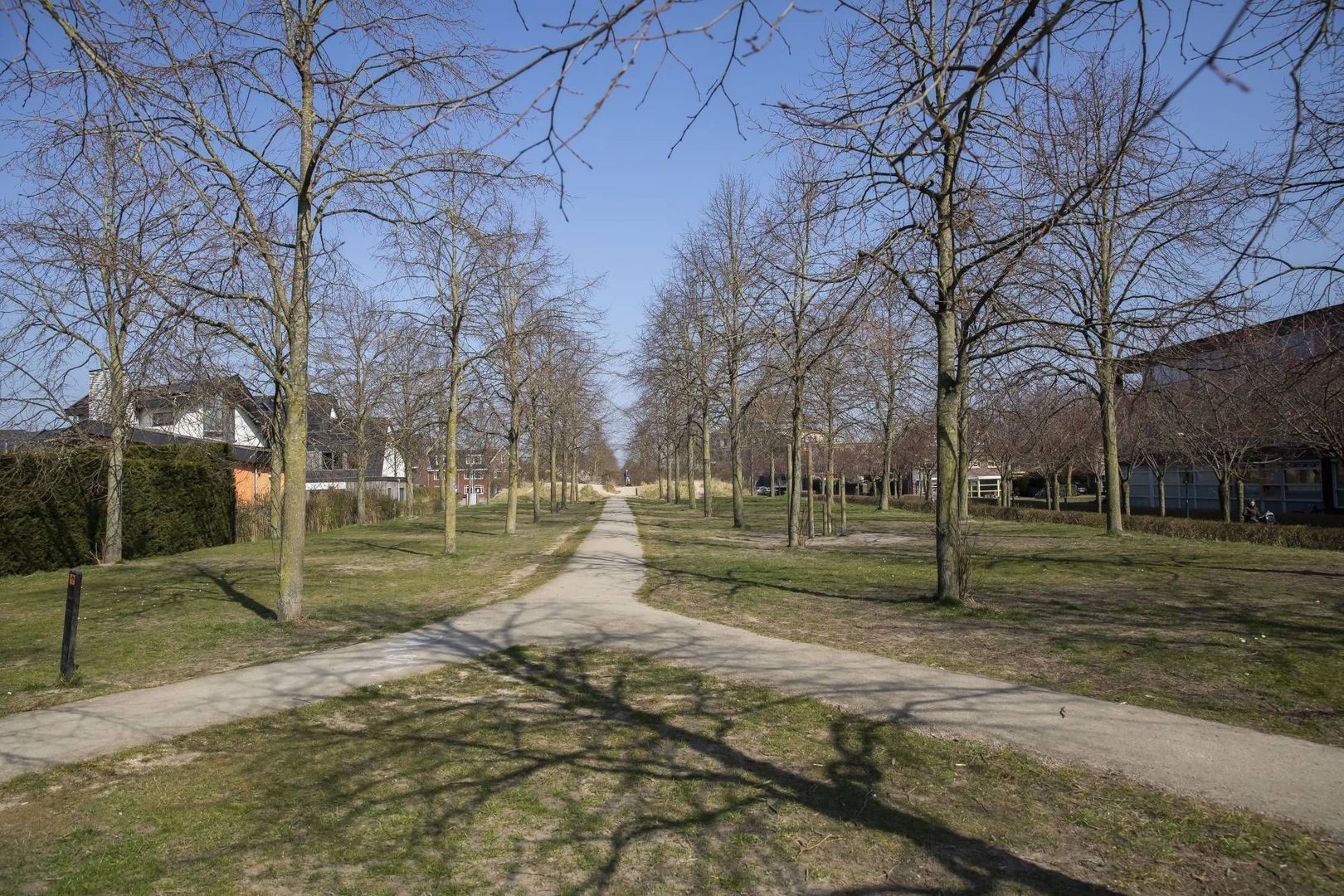Zonnehout, Houten foto-40