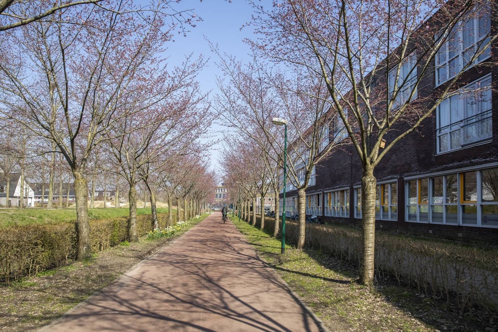 Zonnehout, Houten foto-41