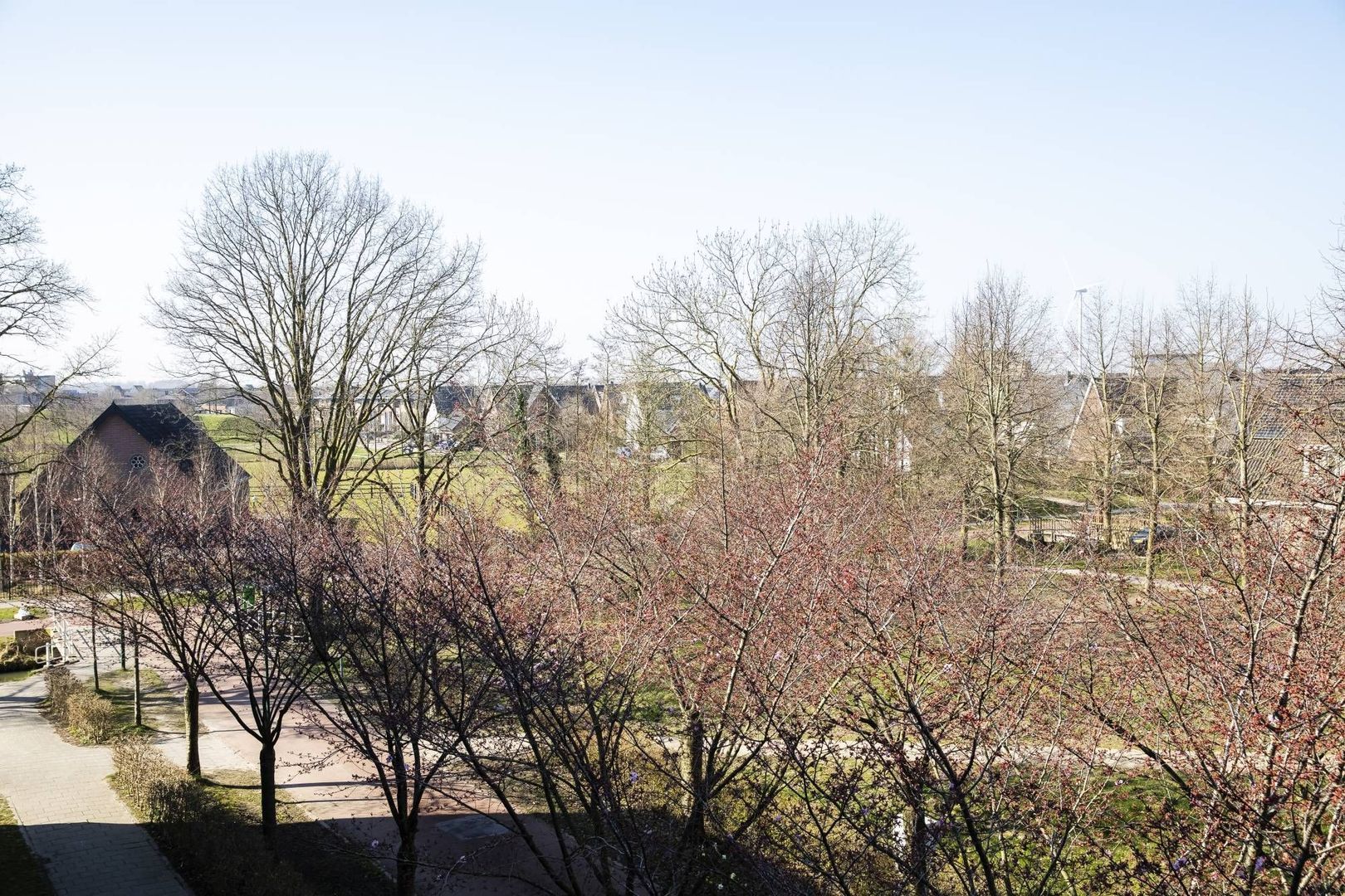 Zonnehout, Houten foto-9