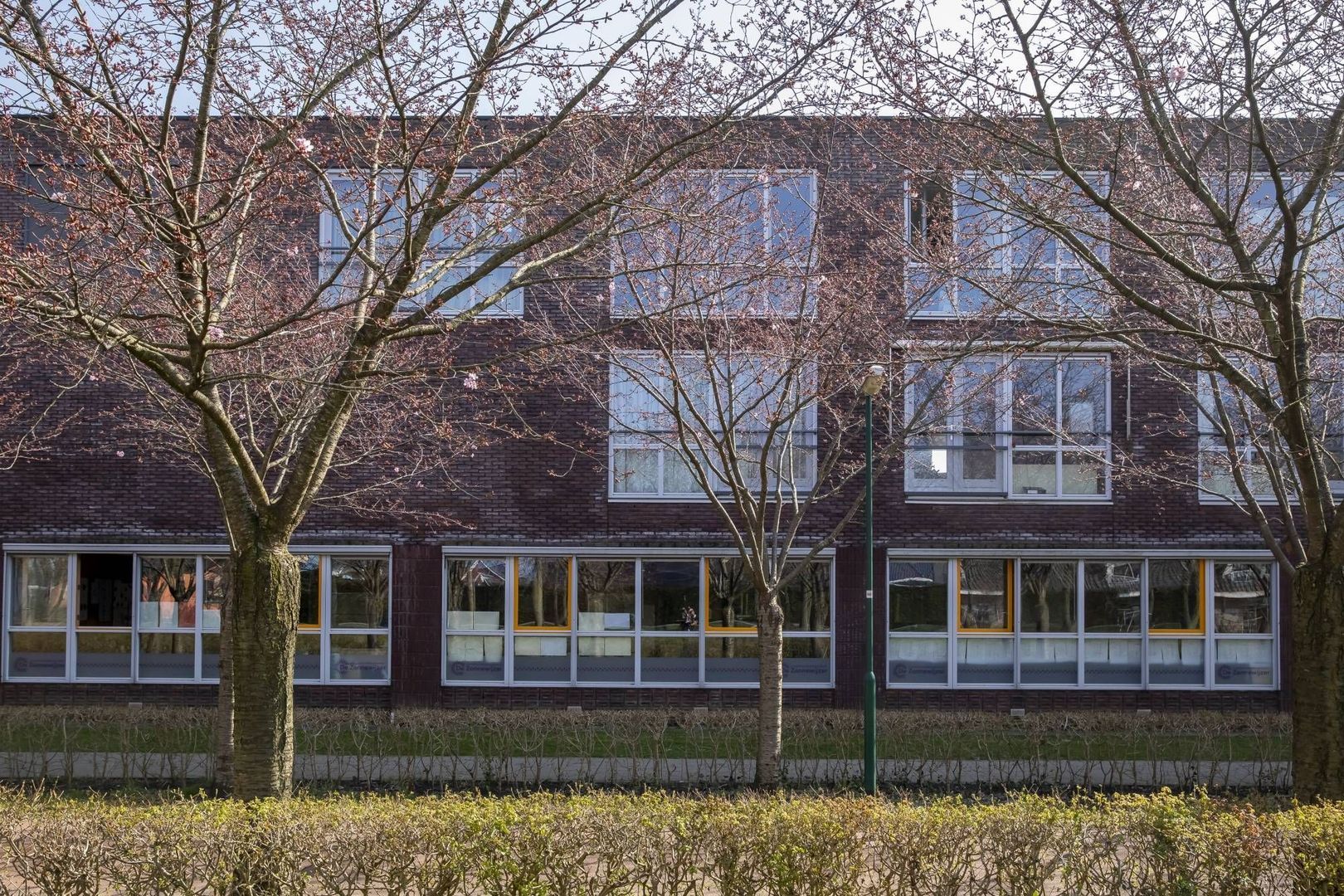 Zonnehout, Houten foto-0