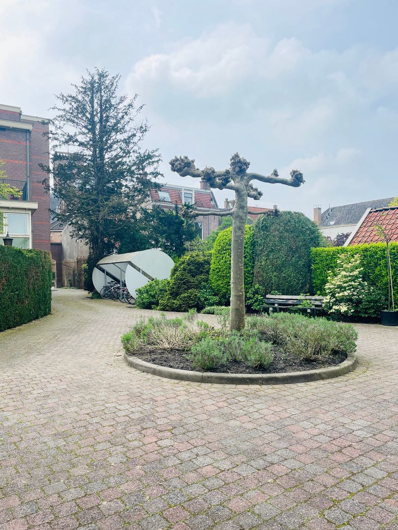 Ridderstraat, Culemborg foto-24