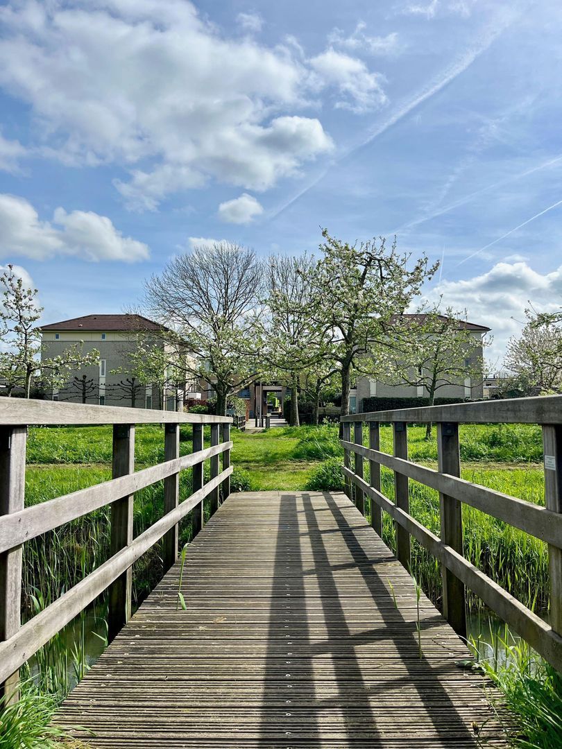 Vuurvlinderlaan, Culemborg foto-38