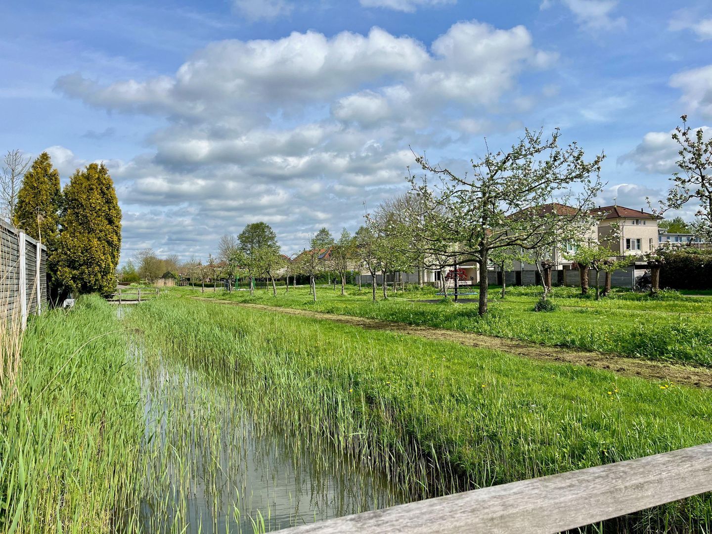 Vuurvlinderlaan, Culemborg foto-39