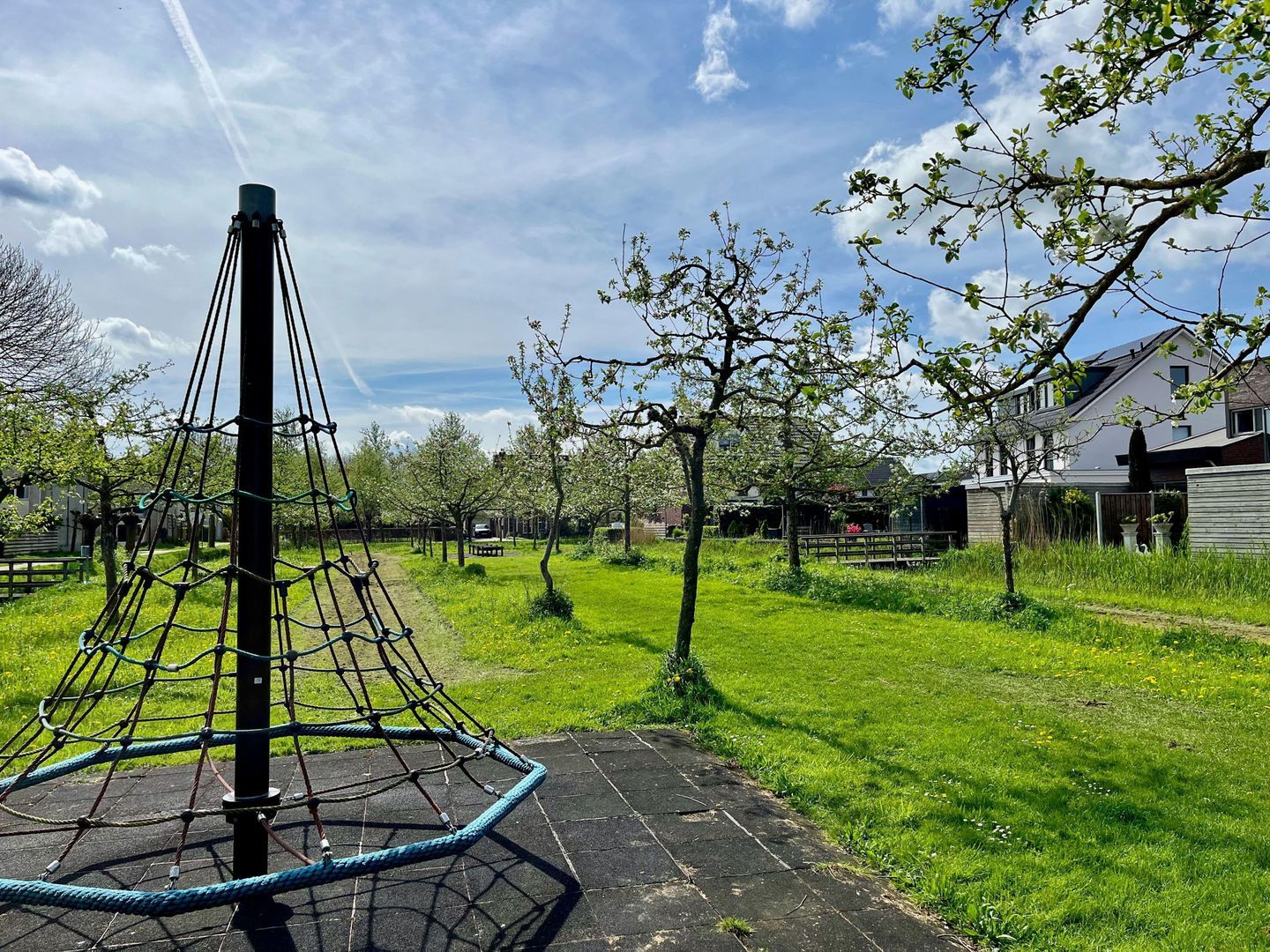 Vuurvlinderlaan, Culemborg foto-40