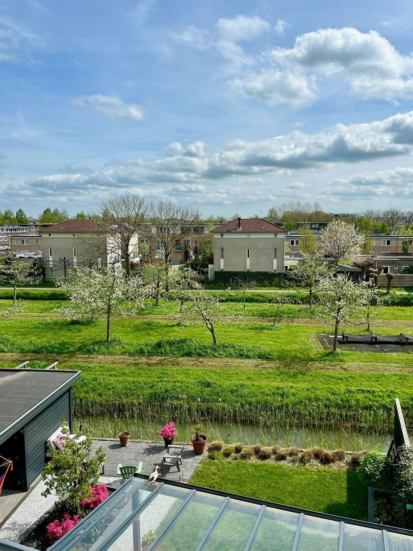 Vuurvlinderlaan, Culemborg foto-25
