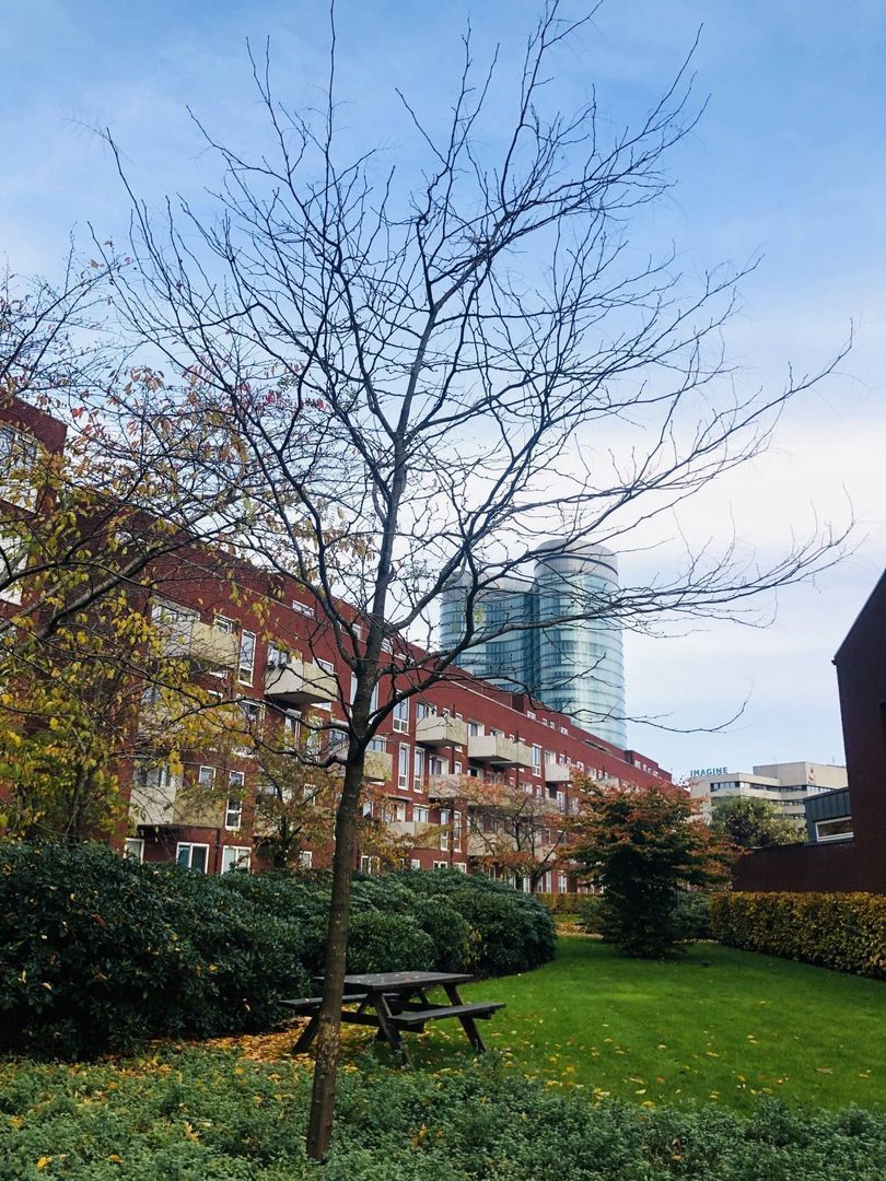 Veilinghavenkade, Utrecht foto-0