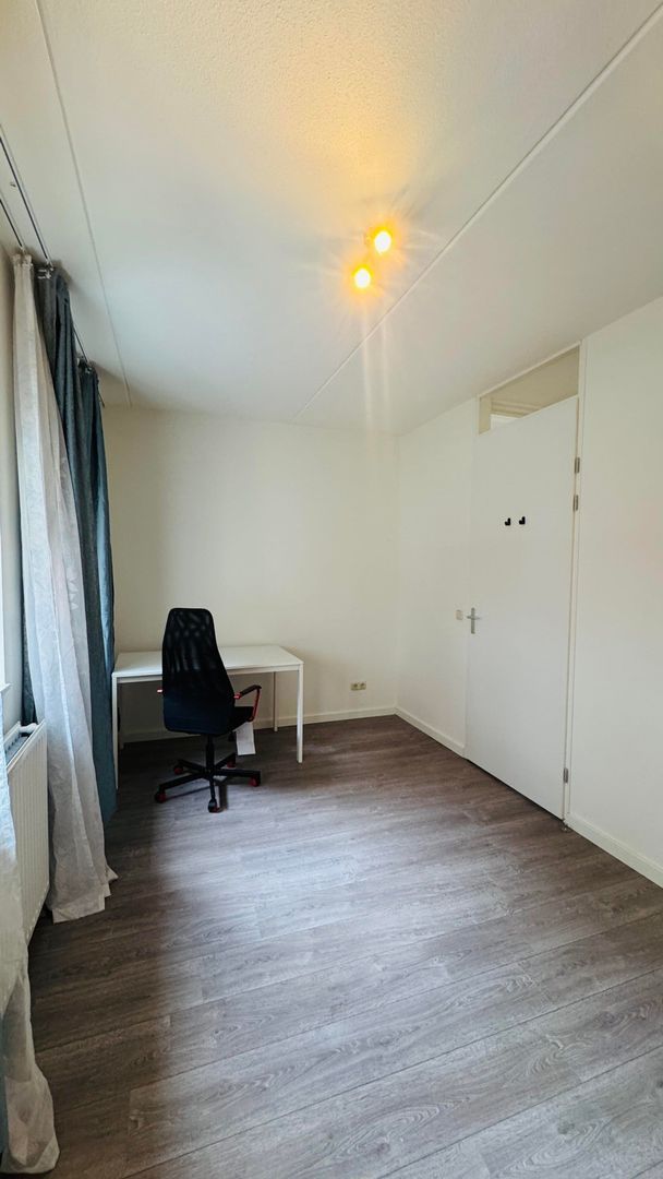 Fossa Iberica, Houten foto-9