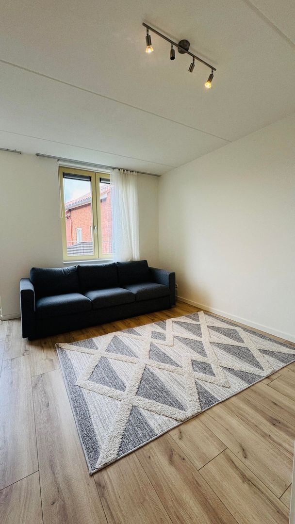 Fossa Iberica, Houten foto-2