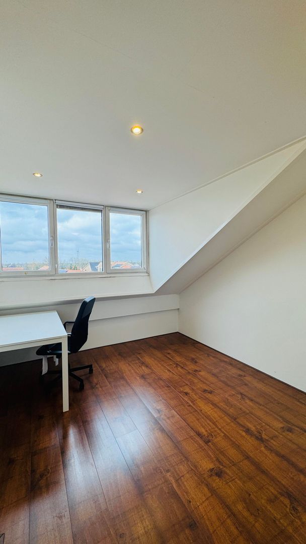 Fossa Iberica, Houten foto-13