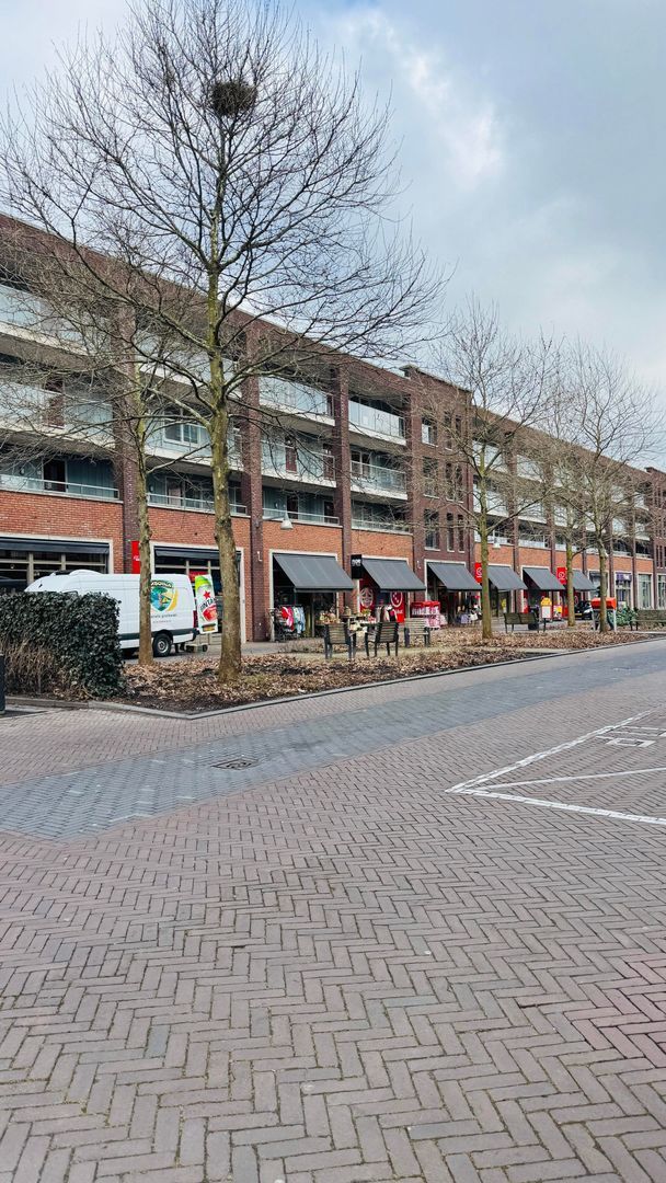 Fossa Iberica, Houten foto-25