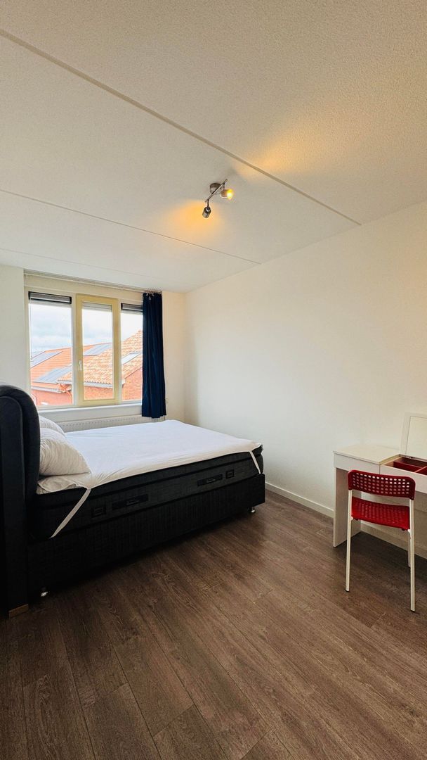 Fossa Iberica, Houten foto-6