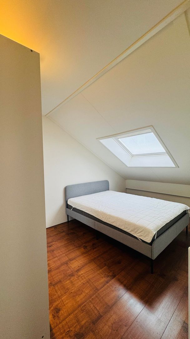 Fossa Iberica, Houten foto-15