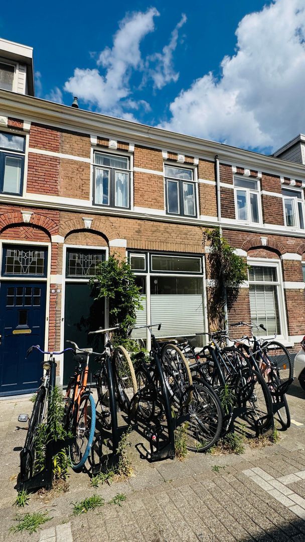 Borneostraat, Utrecht foto-0