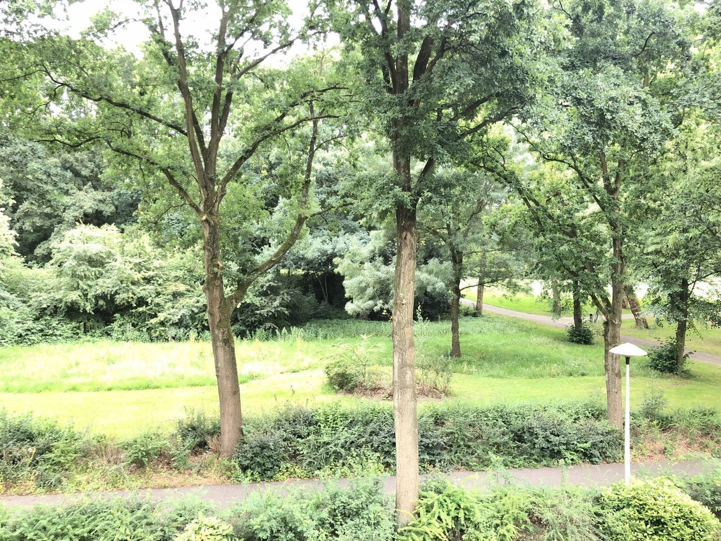 Jo Wüthrichlaan, Utrecht foto-6