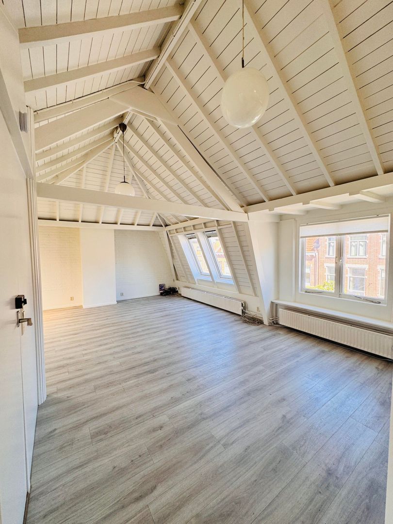 Nachtegaalstraat, Utrecht foto-3