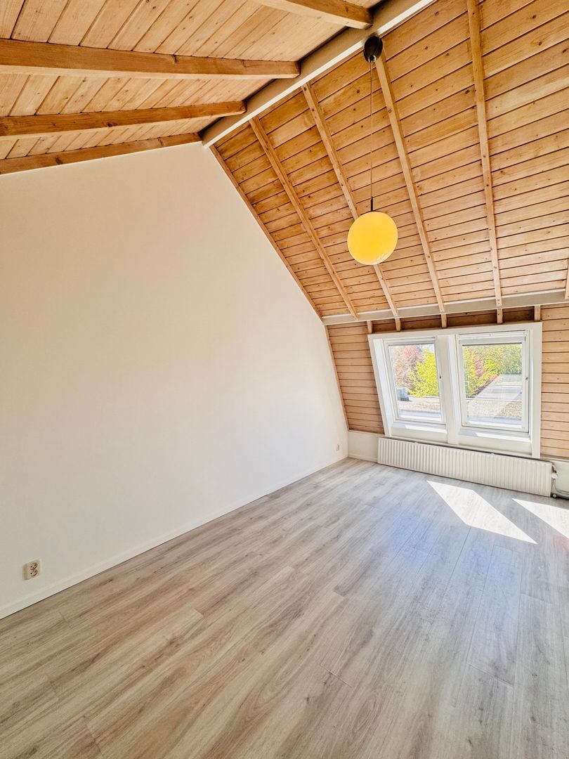 Nachtegaalstraat, Utrecht foto-13