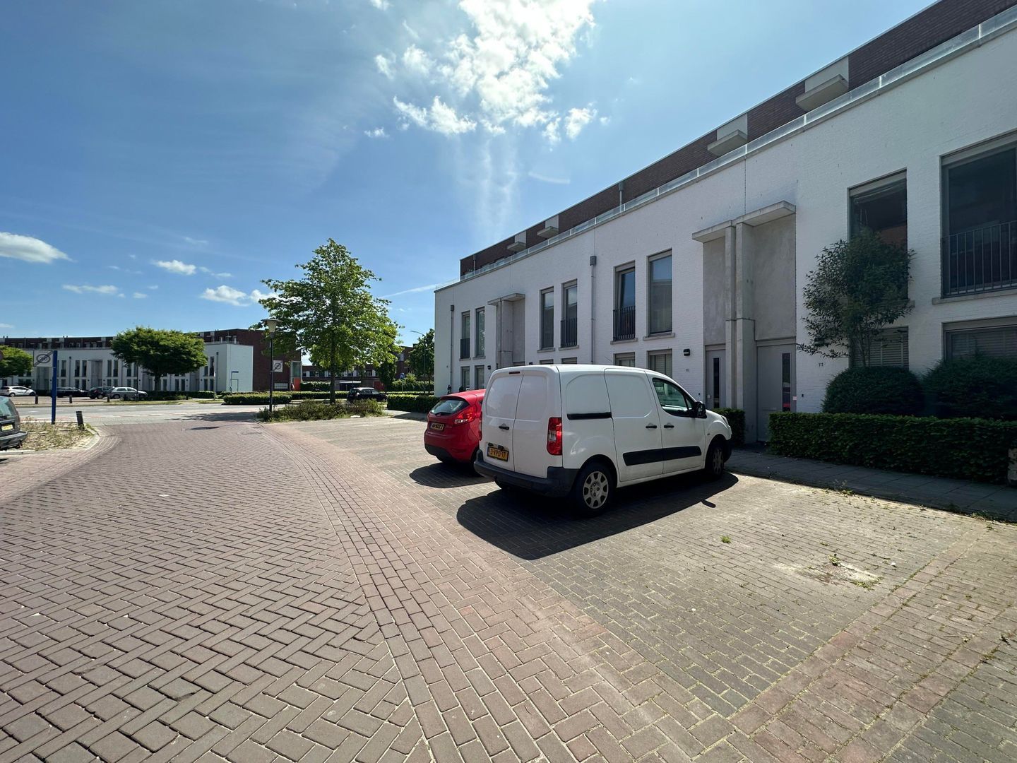Eekhoorn, Veldhoven foto-0 blur