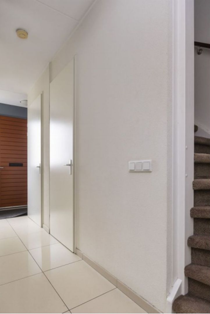 Grasplant, Eindhoven foto-2 blur