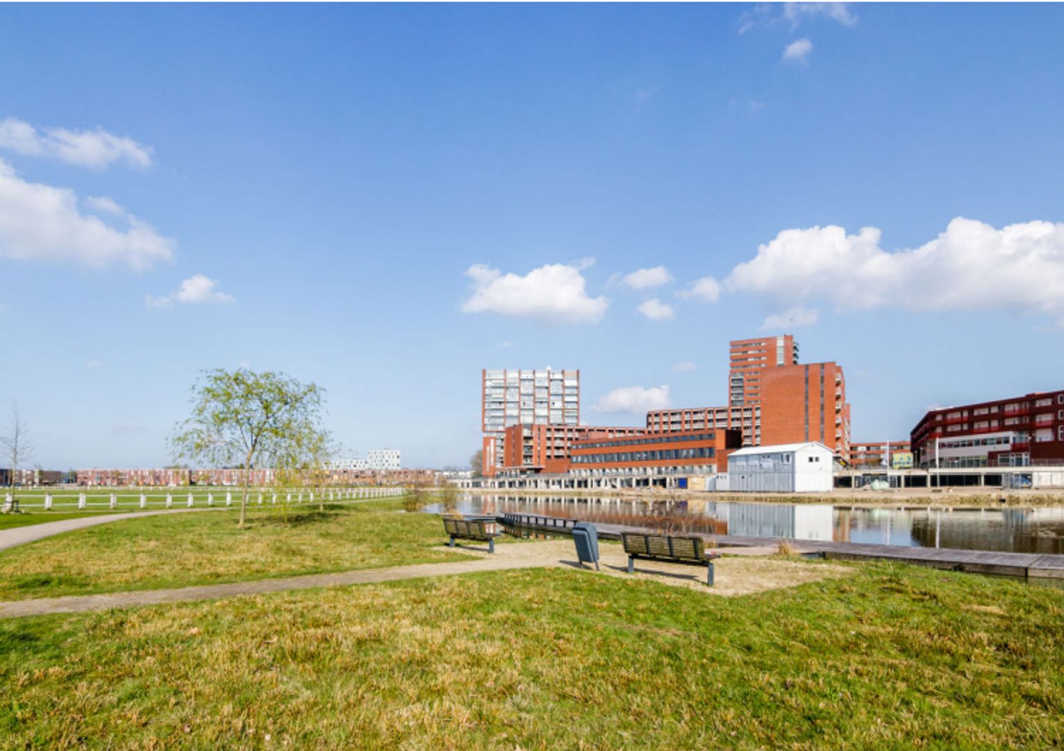 Grasplant, Eindhoven foto-22 blur