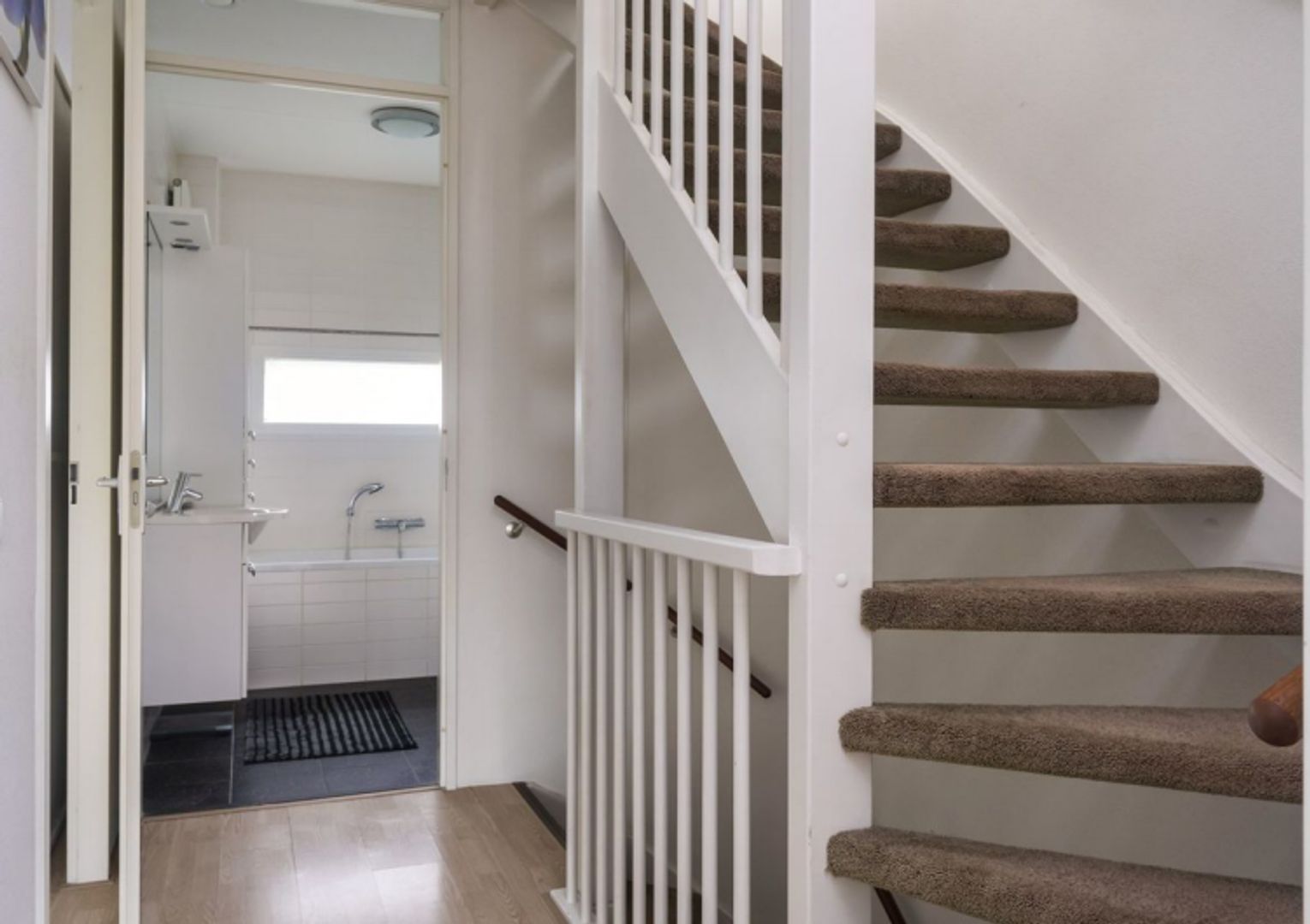 Grasplant, Eindhoven foto-9 blur