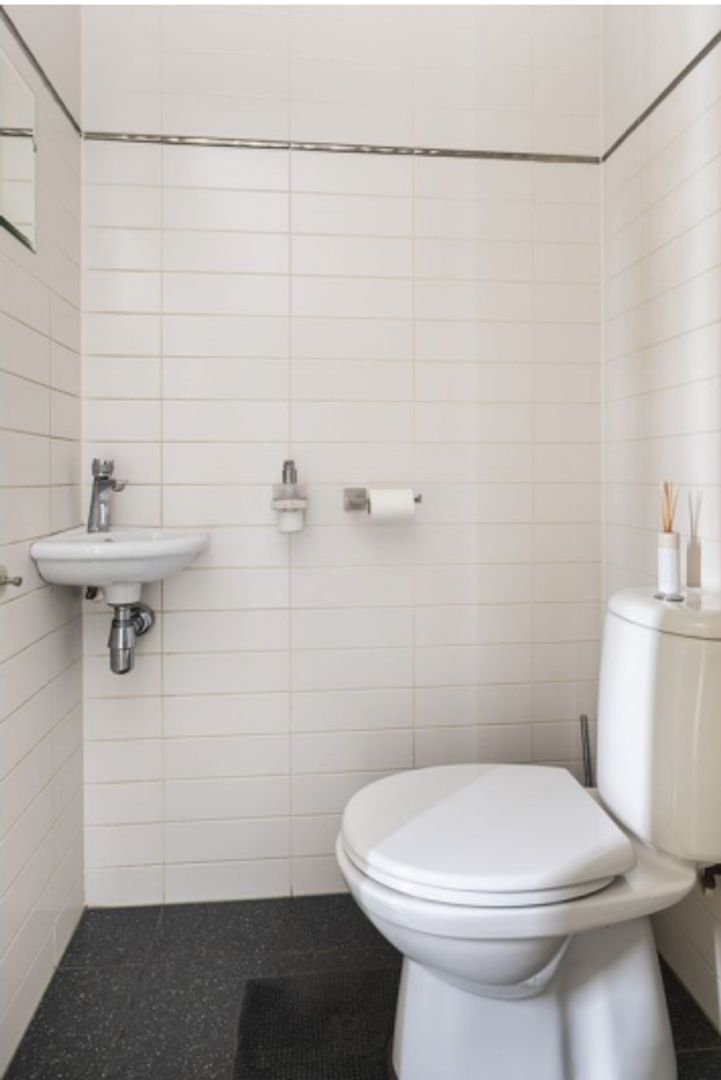 Grasplant, Eindhoven foto-3 blur