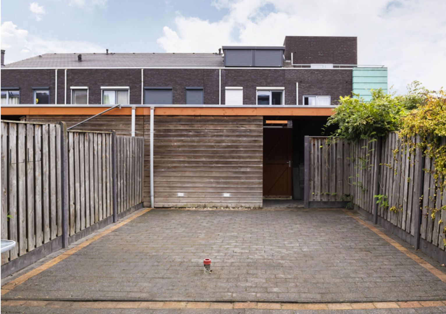 Grasplant, Eindhoven foto-19 blur