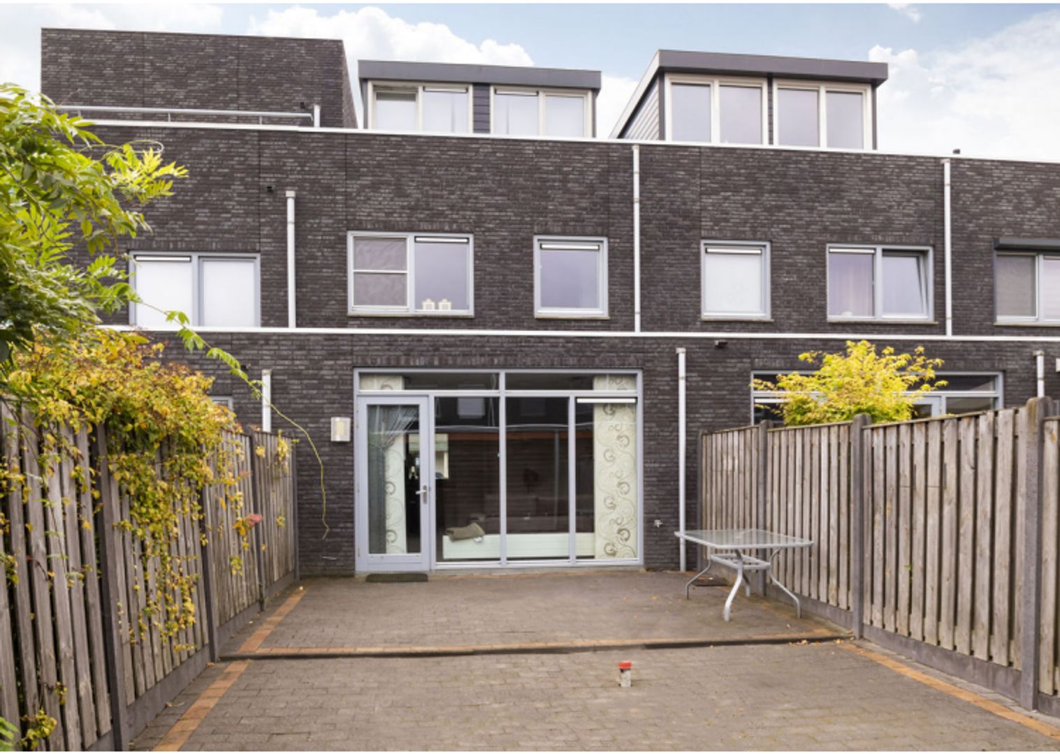 Grasplant, Eindhoven foto-20 blur