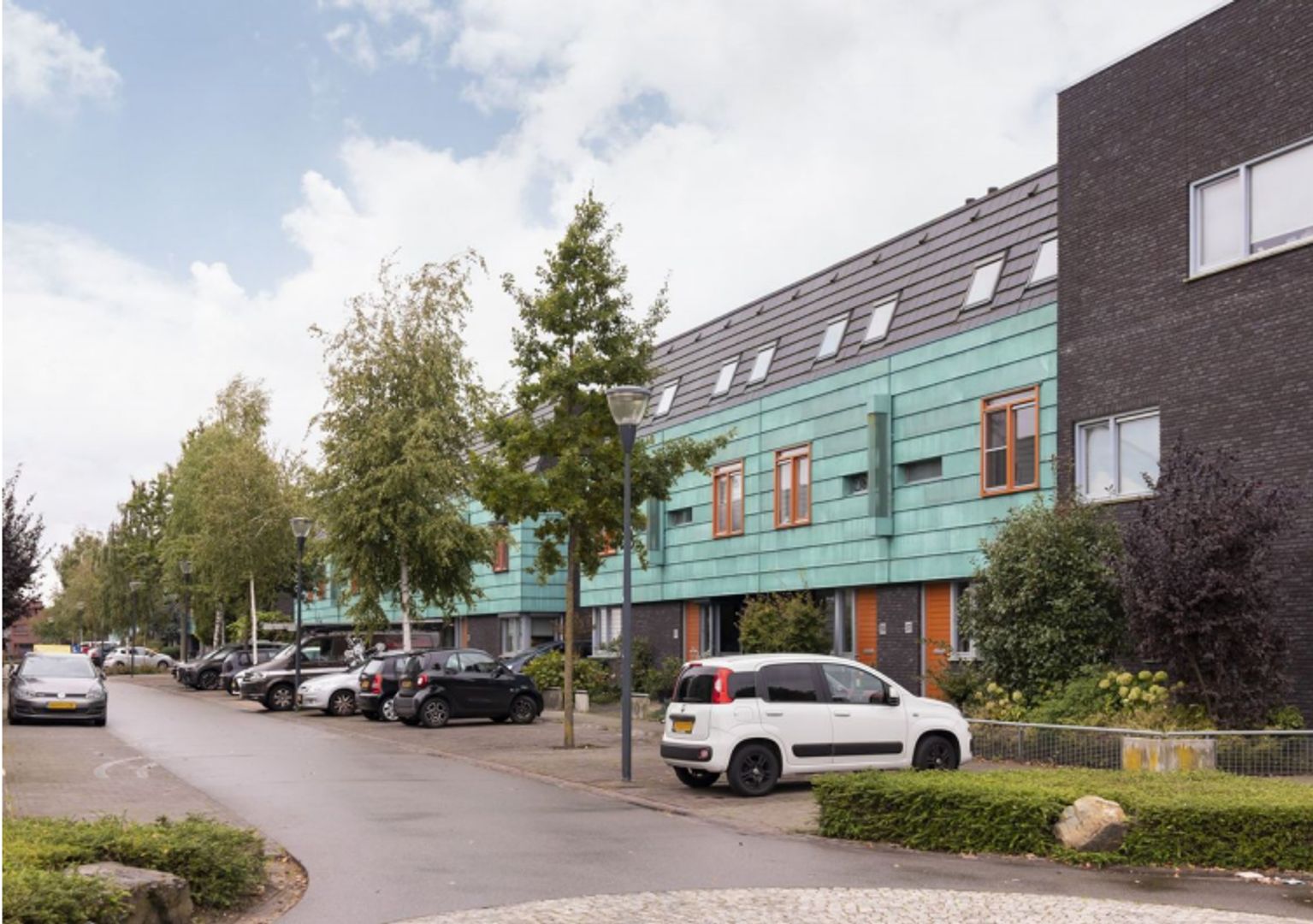 Grasplant, Eindhoven foto-1 blur