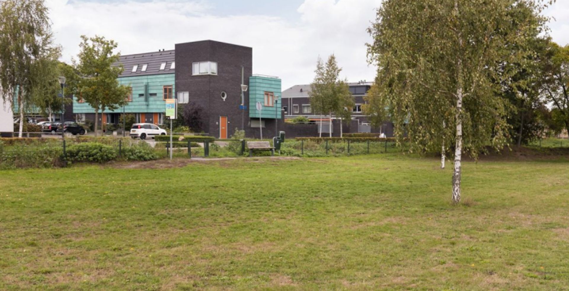 Grasplant, Eindhoven foto-21 blur